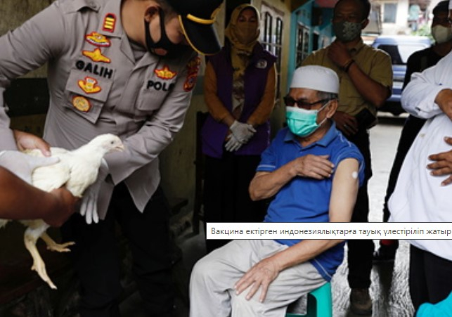 Вакцина ектірген индонезиялықтарға тауық үлестіріліп жатыр