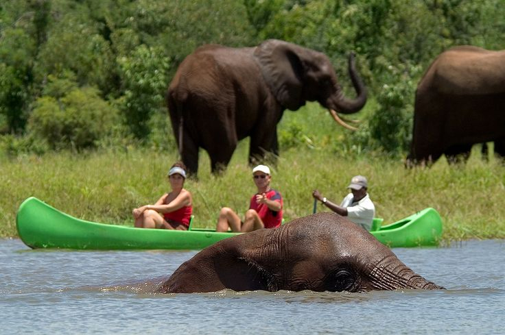 ШЕТЕЛДЕГІ ҚАУІП: қандай ережелерді естен шығармау керек ШЕТЕЛДЕГІ ҚАУІП: қандай ережелерді естен шығармау керек