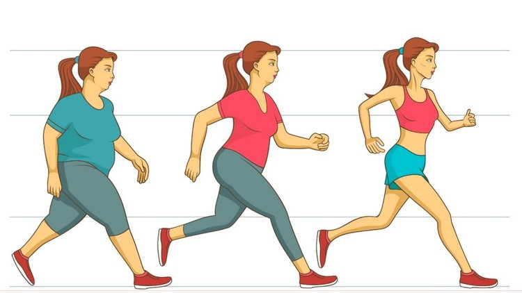 Қозғалыс пен диета - арықтаудың негізі Қозғалыс пен диета - арықтаудың негізі