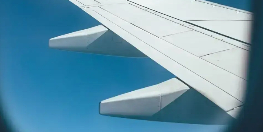 Алматыға бара жатқан екі жолаушы ұшақтан түсірілді Алматыға бара жатқан екі жолаушы ұшақтан түсірілді