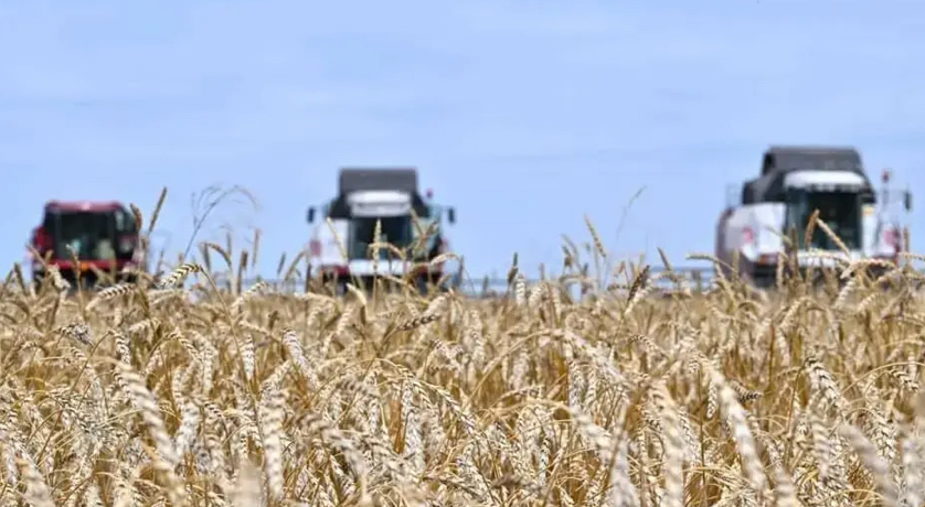 Ауыл шаруашылығы субсидиясы бойынша берешек 300 млрд теңгеден асты Ауыл шаруашылығы субсидиясы бойынша берешек 300 млрд теңгеден асты